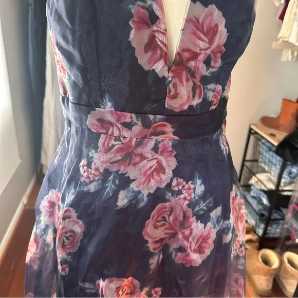 NWT Lulu's | Blooming Adoration Floral Organza Maxi Dress | Size Small