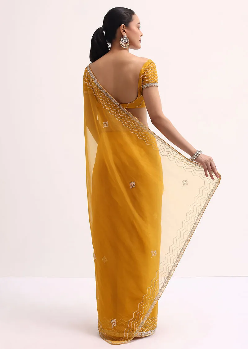 Orange Organza Saree