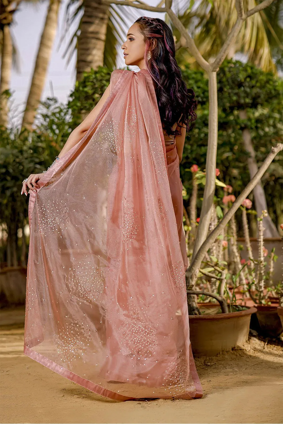 Organza Luxury Saree