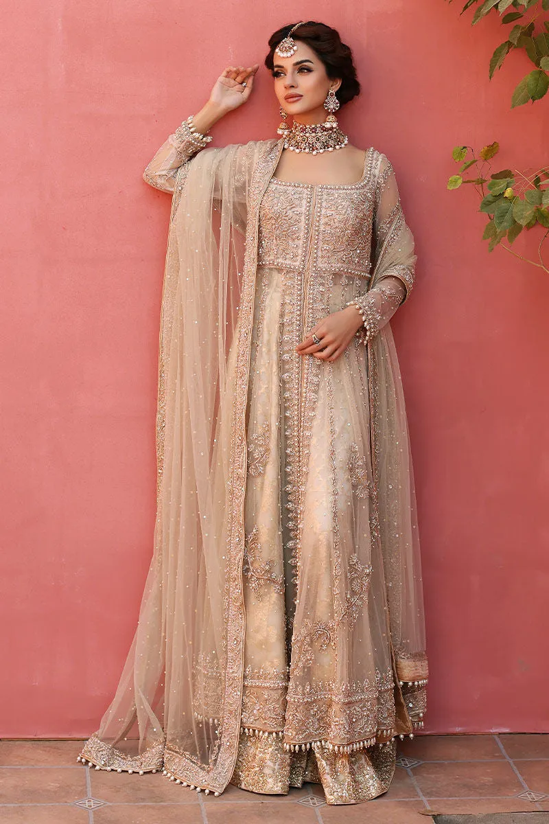 Pakistani Bridal Gown and Lehenga Dress