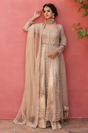 Pakistani Bridal Gown and Lehenga Dress