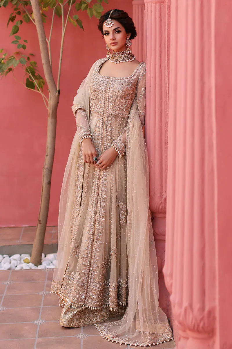 Pakistani Bridal Gown and Lehenga Dress