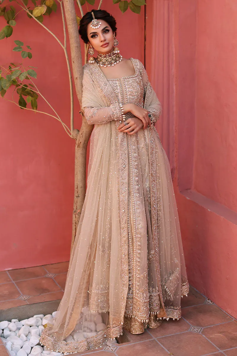 Pakistani Bridal Gown and Lehenga Dress