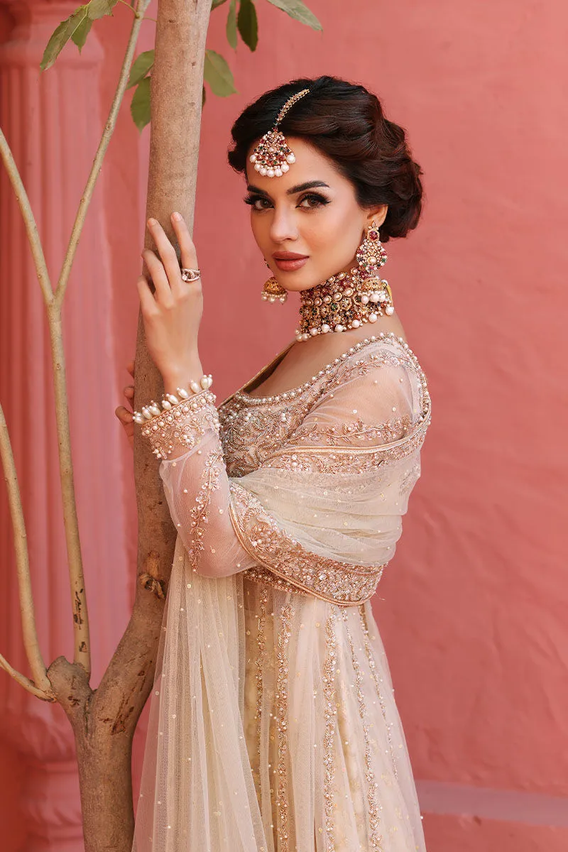 Pakistani Bridal Gown and Lehenga Dress