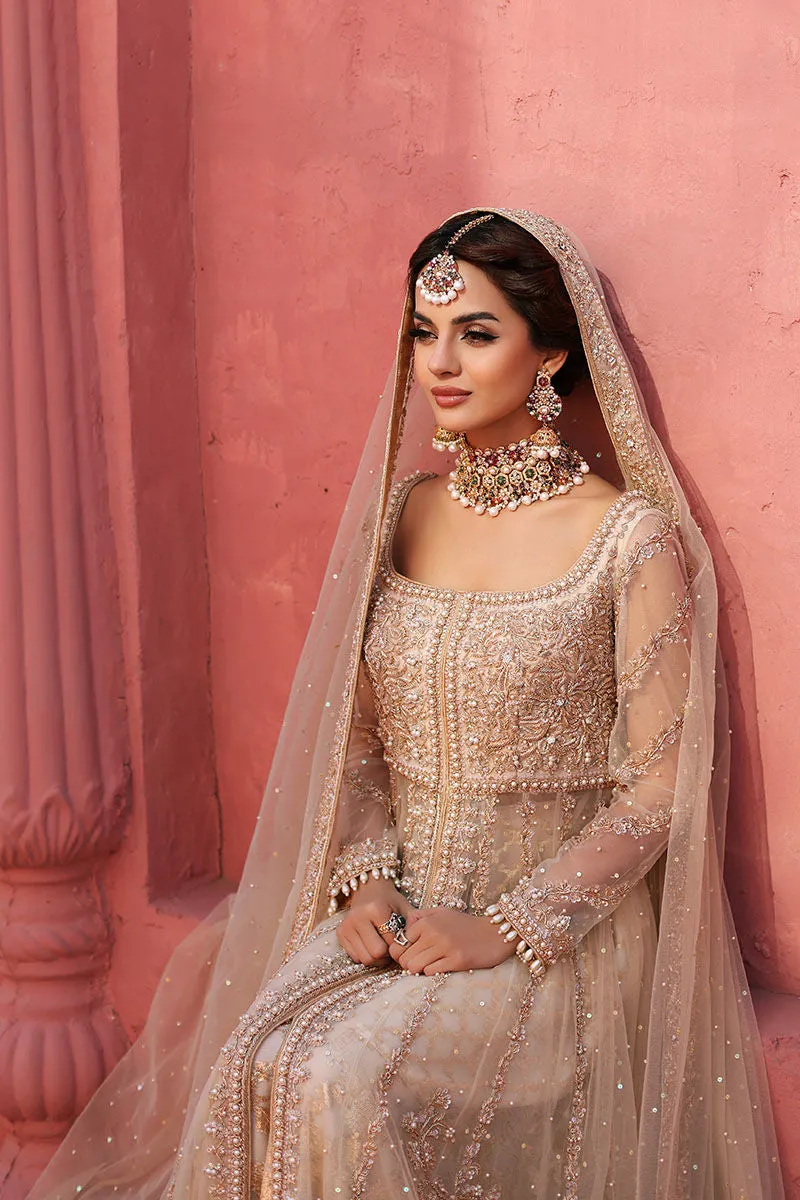 Pakistani Bridal Gown and Lehenga Dress