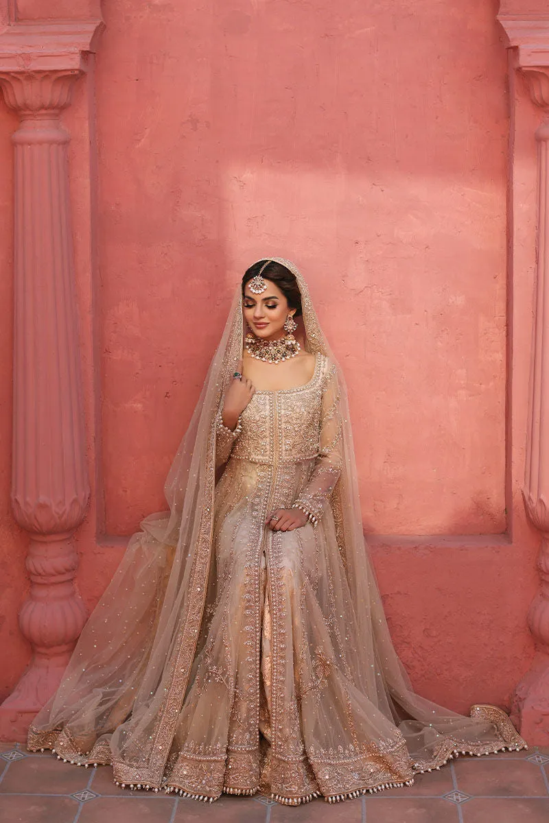 Pakistani Bridal Gown and Lehenga Dress