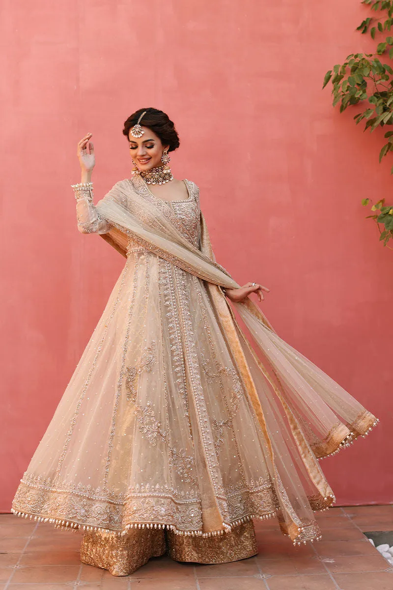 Pakistani Bridal Gown and Lehenga Dress