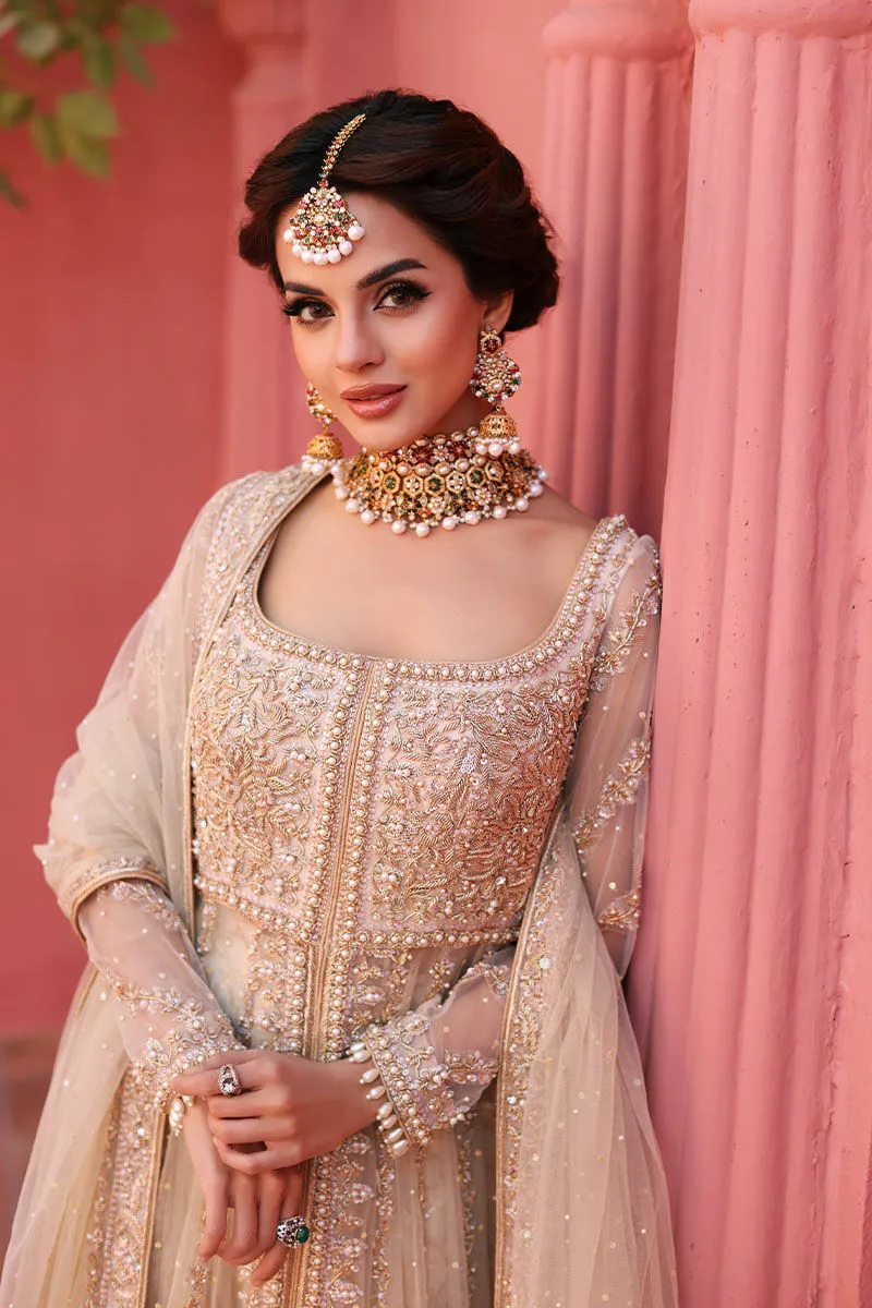 Pakistani Bridal Gown and Lehenga Dress
