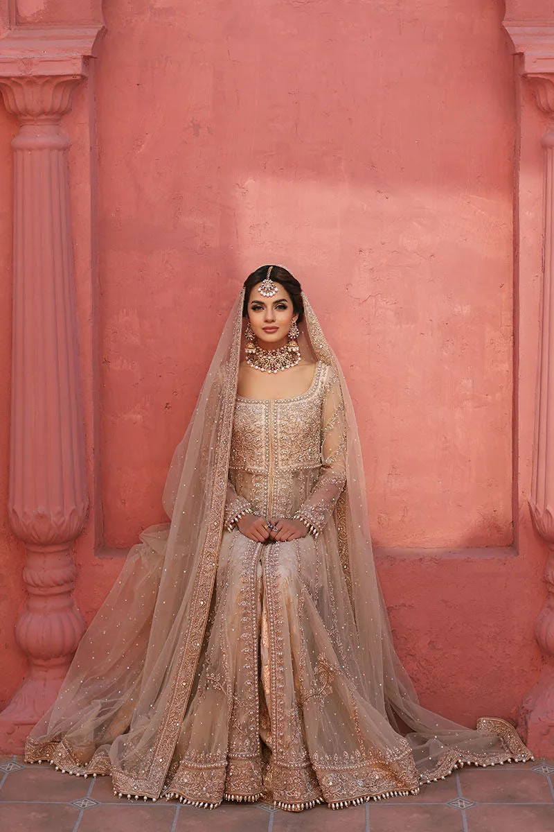 Pakistani Bridal Gown and Lehenga Dress