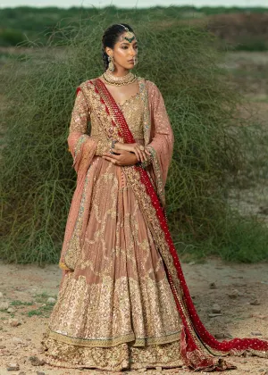 Pakistani  Bridal Gown Lehenga  Peach Dupatta/veil