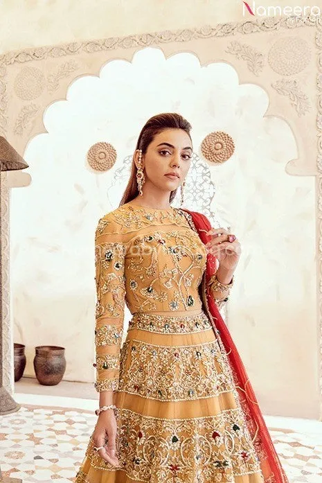 Pakistani Lehenga Choli for Bride Online 2021 #BB252
