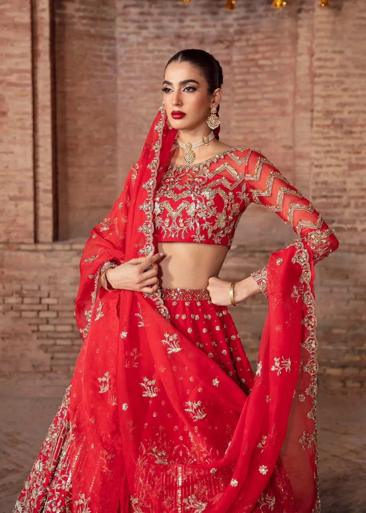Pakistani Red Bridal lehenga Choli Organza Dupatta