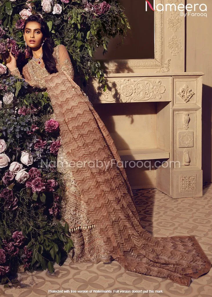 Premium Pakistani Bridal Dresses Online USA #BN120