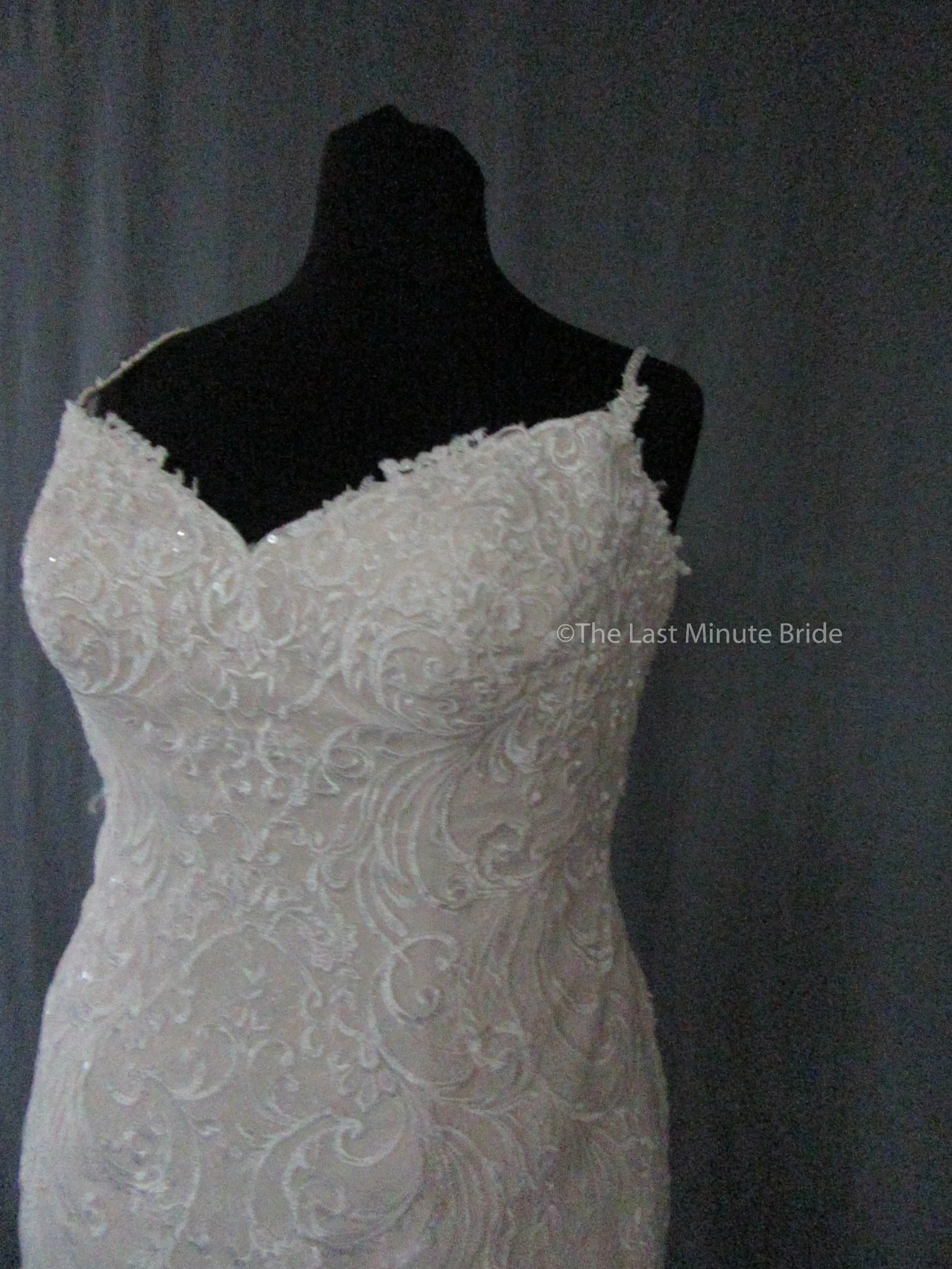 Rebecca Ingram Debbie 8RS557