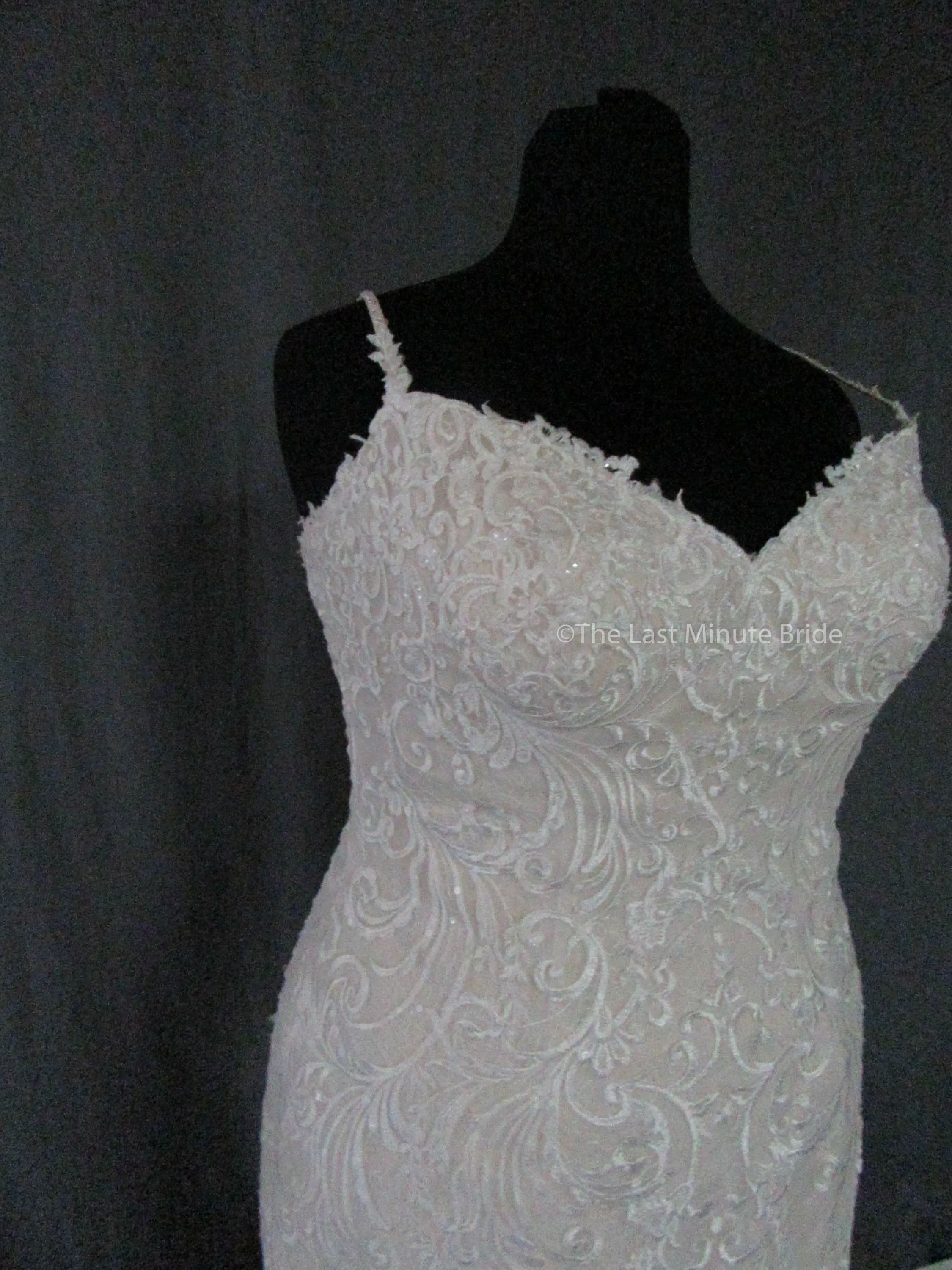 Rebecca Ingram Debbie 8RS557