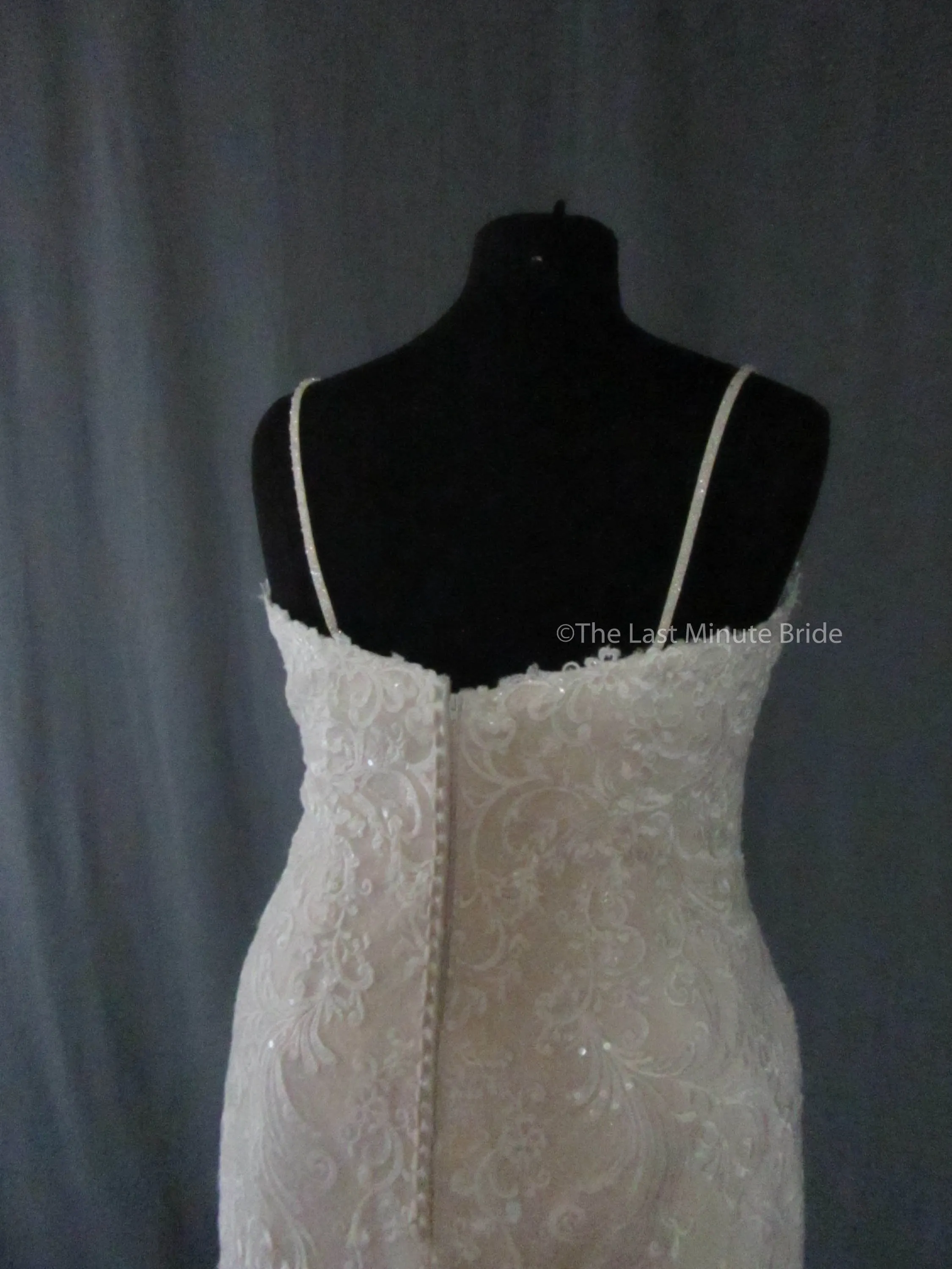 Rebecca Ingram Debbie 8RS557