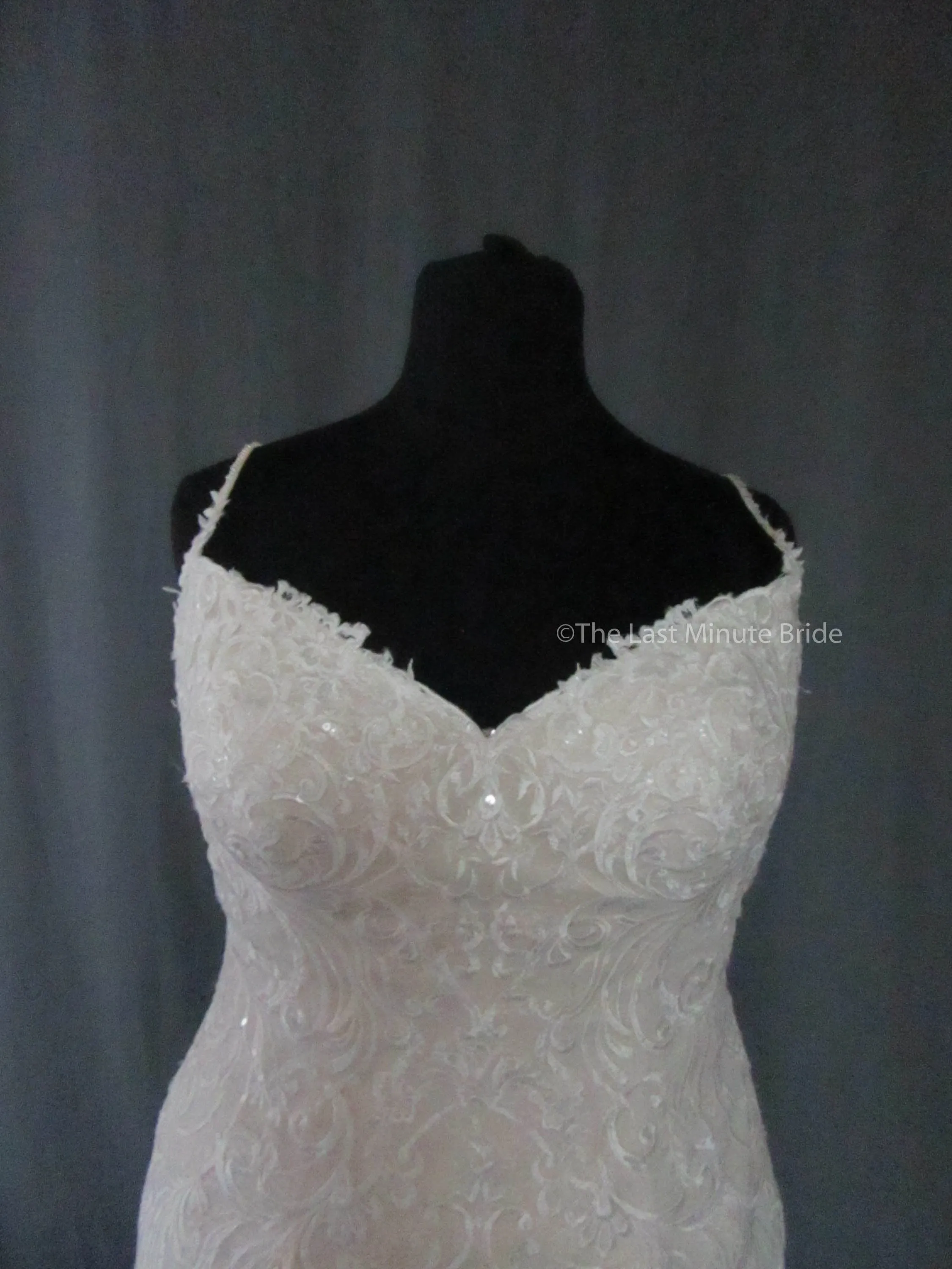 Rebecca Ingram Debbie 8RS557