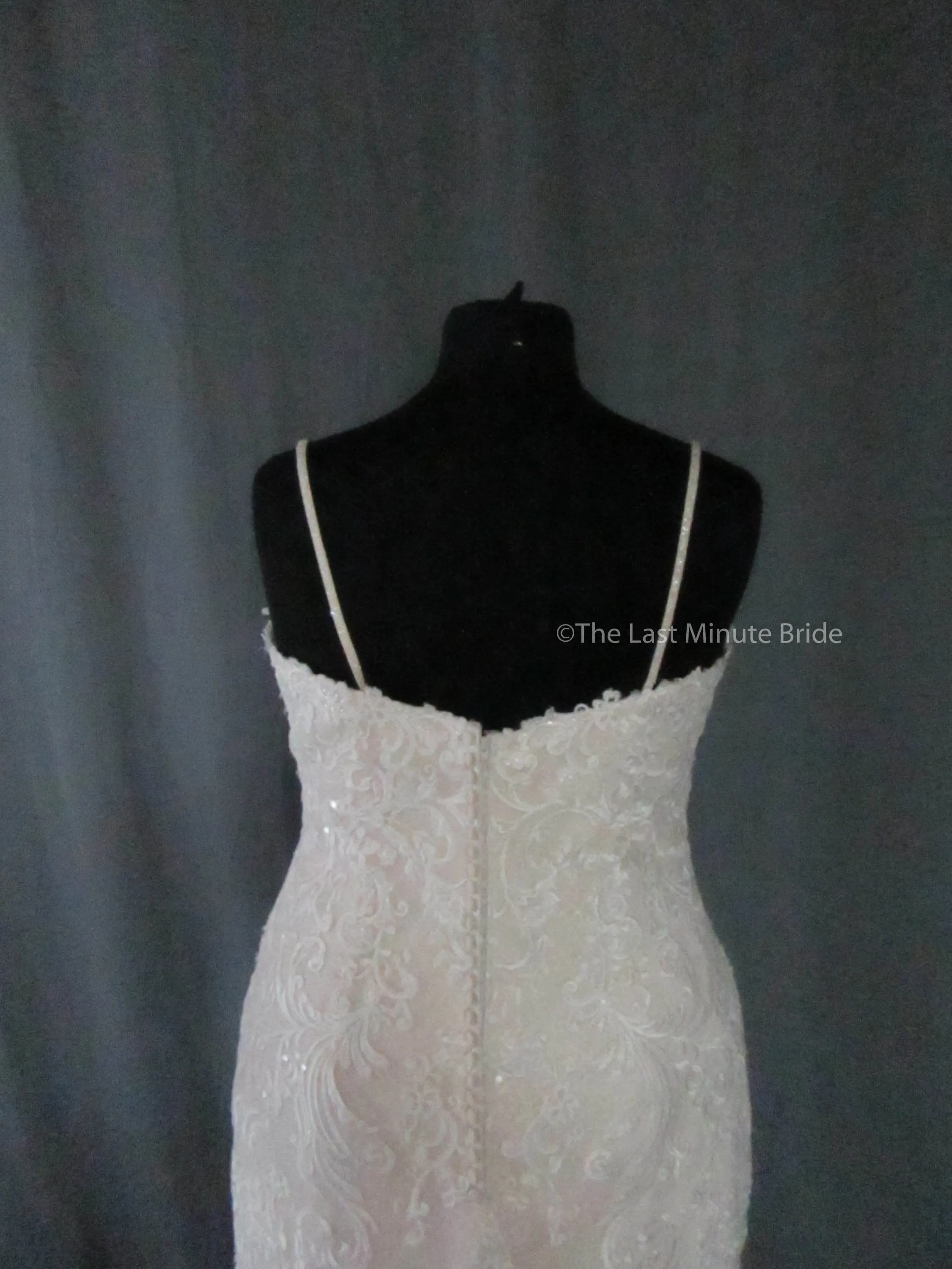 Rebecca Ingram Debbie 8RS557
