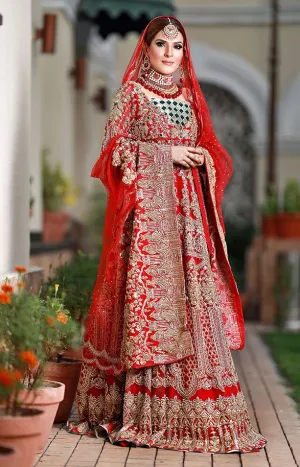 Red Bridal Lehnga Wear with Embroidery #Y6005