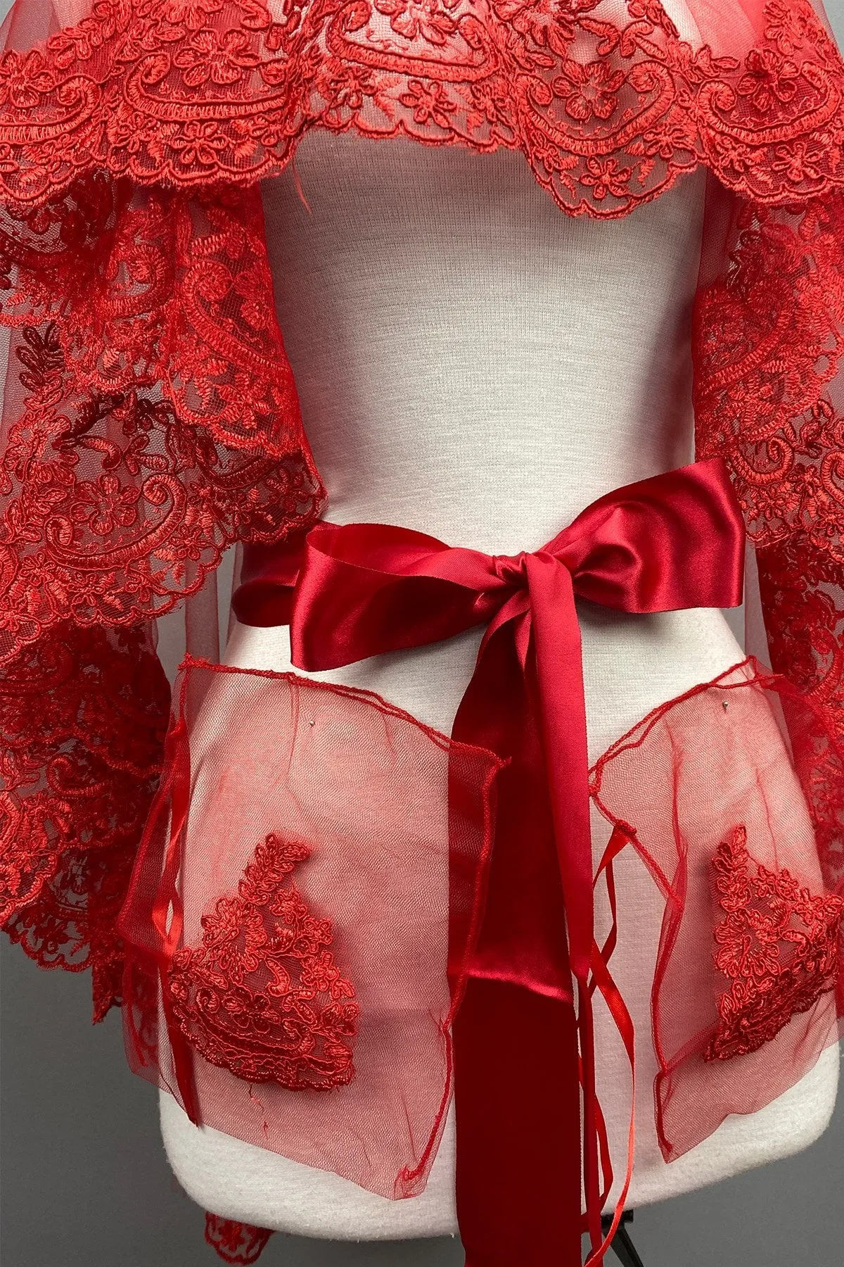 Red Lace Embroidered Bridal Veil Special Face Cover for Engagement and Henna Night