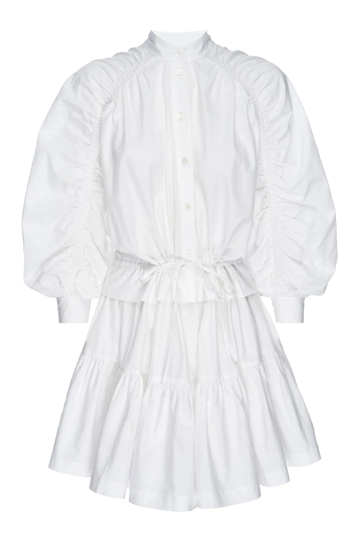 Ruched Sleeve Dress