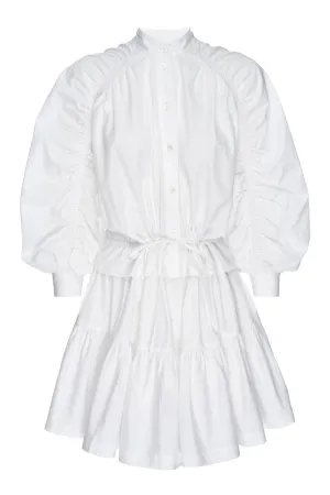 Ruched Sleeve Dress
