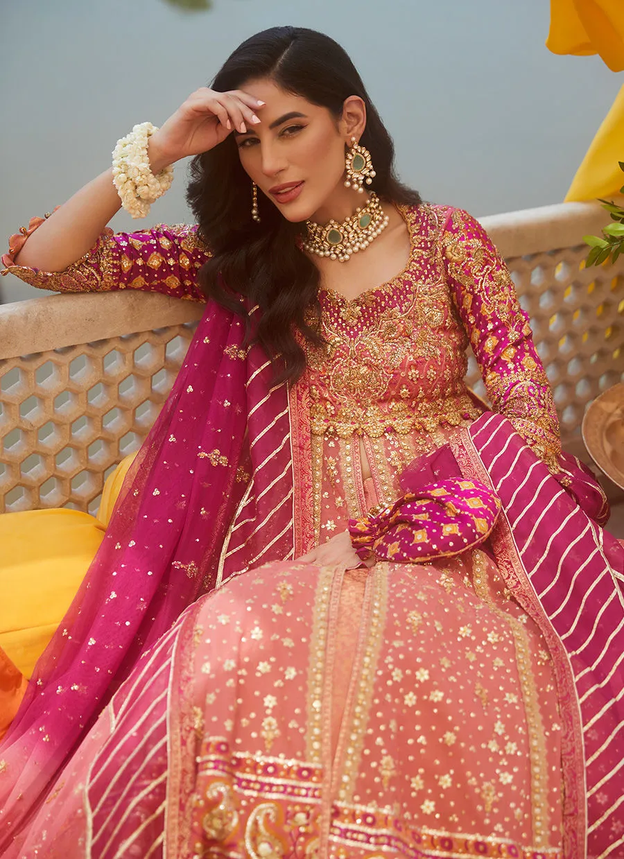 SALMON PINK KALIDAAR