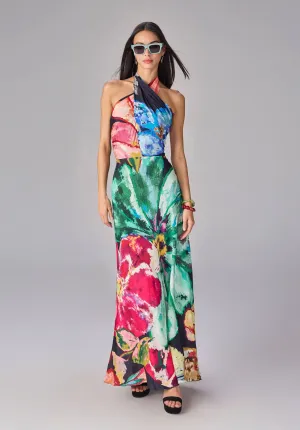 Shailee multicolor dress