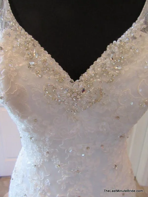 Sophia Tolli Leigh Y21432