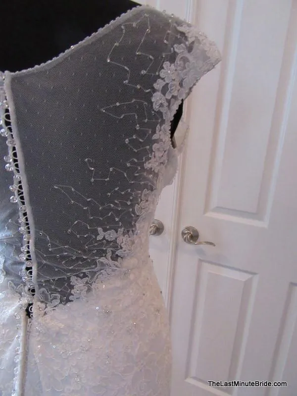 Sophia Tolli Leigh Y21432