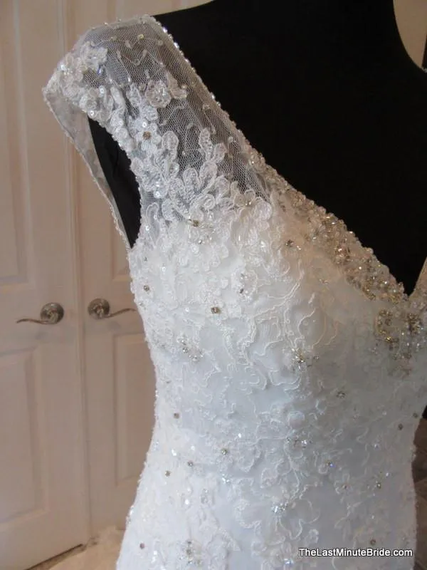 Sophia Tolli Leigh Y21432