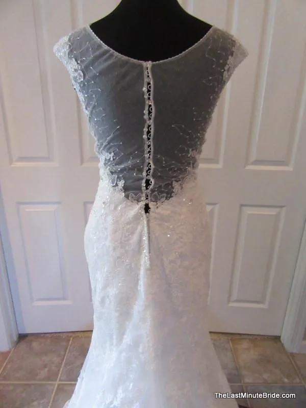 Sophia Tolli Leigh Y21432