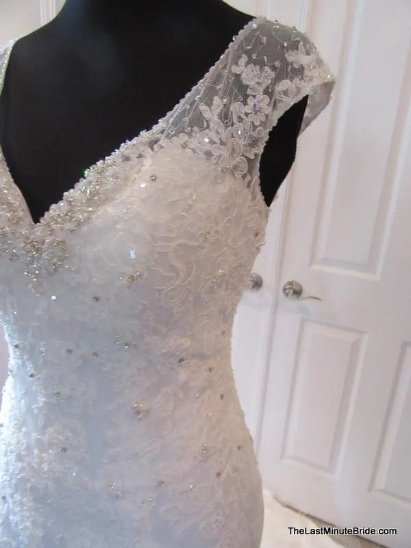 Sophia Tolli Leigh Y21432