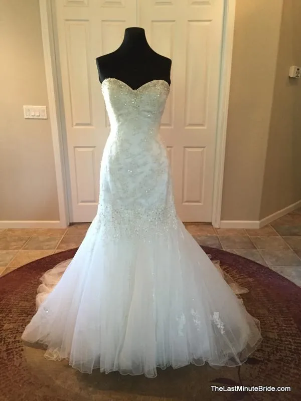 Sophia Tolli Y11215 Marielena