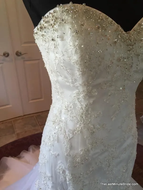 Sophia Tolli Y11215 Marielena