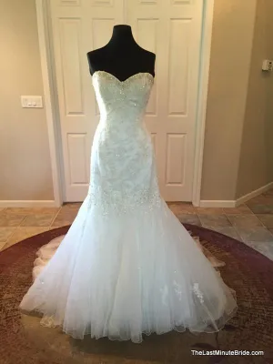 Sophia Tolli Y11215 Marielena