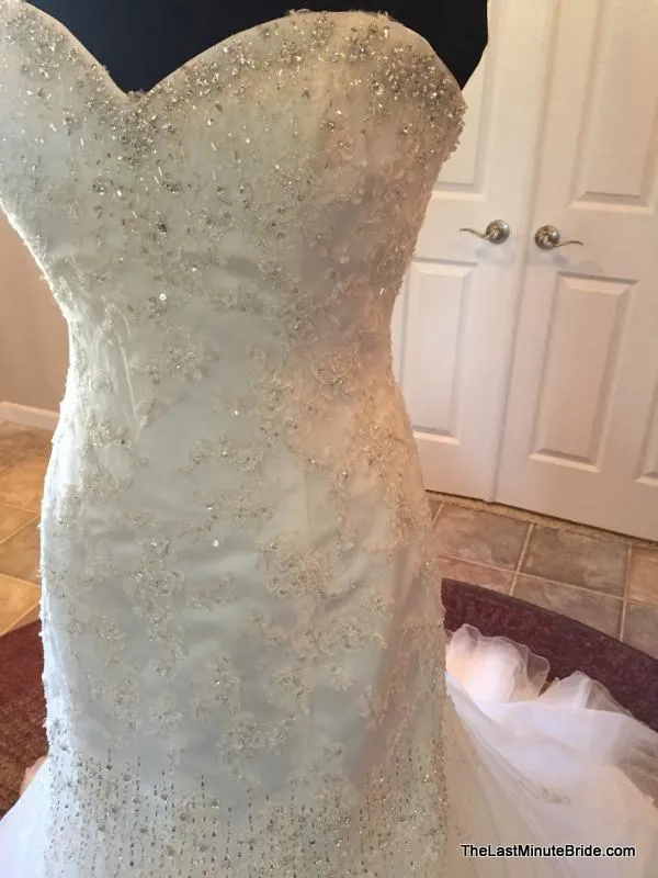 Sophia Tolli Y11215 Marielena