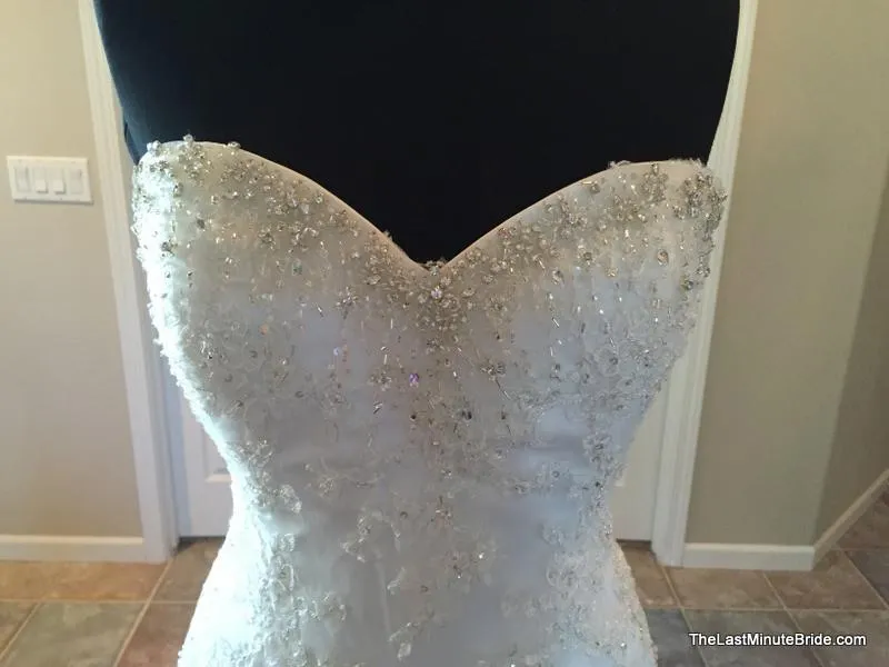 Sophia Tolli Y11215 Marielena