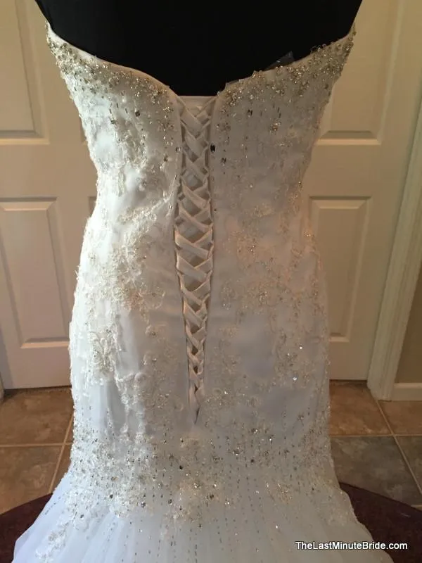 Sophia Tolli Y11215 Marielena