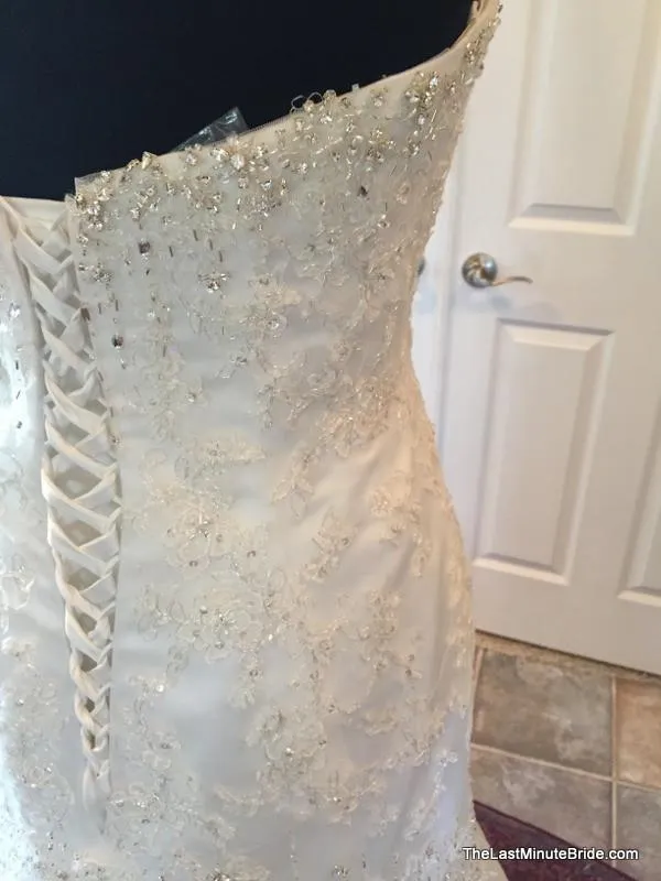 Sophia Tolli Y11215 Marielena