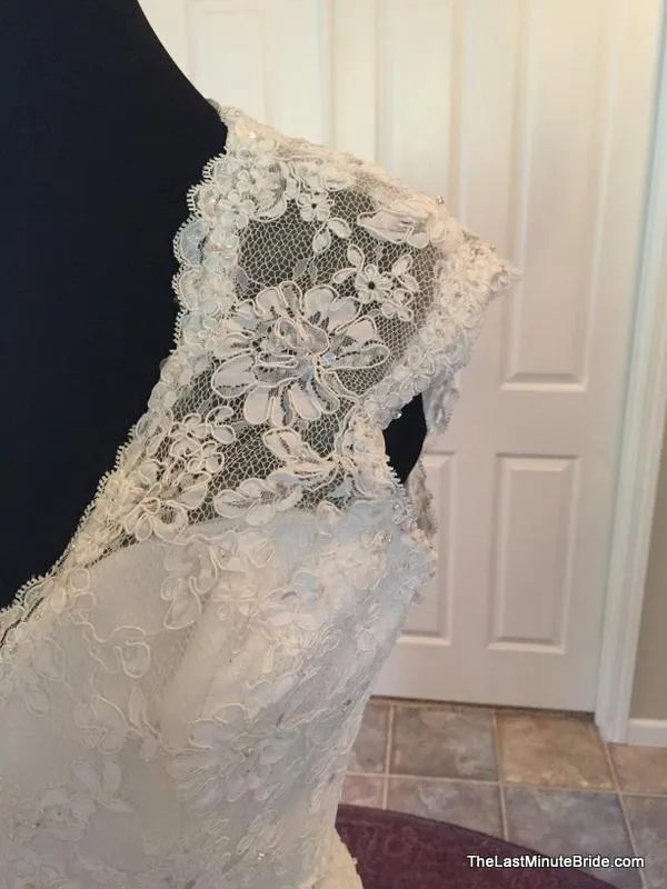 Sophia Tolli Y11310 Hazelle