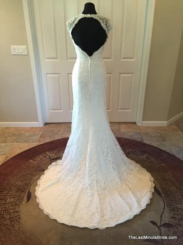 Sophia Tolli Y11310 Hazelle
