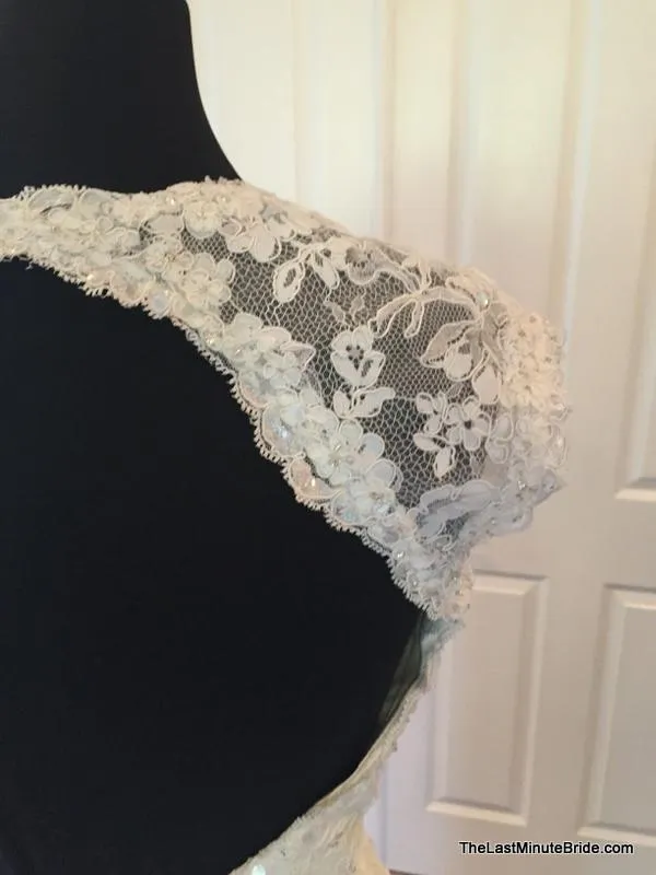 Sophia Tolli Y11310 Hazelle