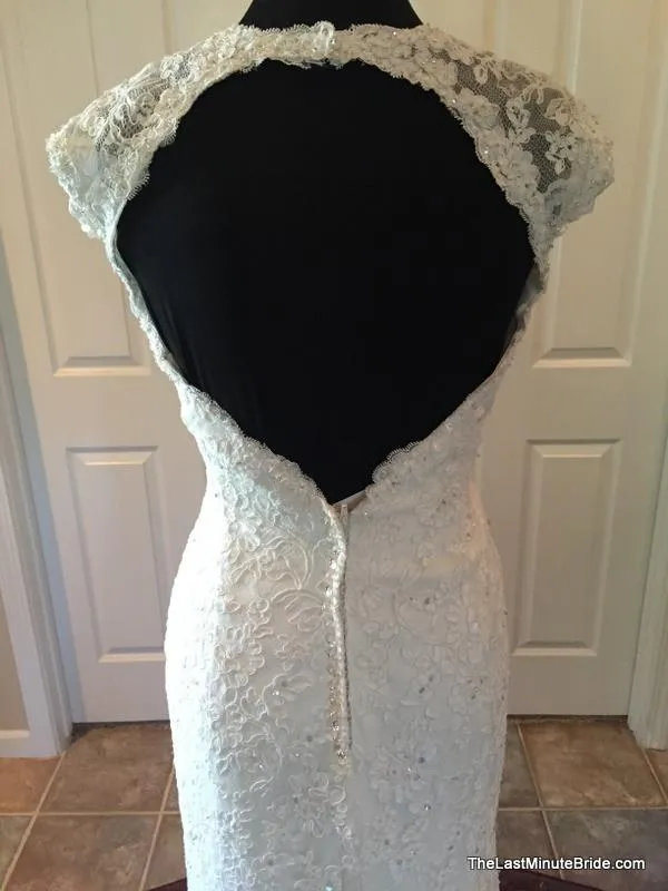 Sophia Tolli Y11310 Hazelle