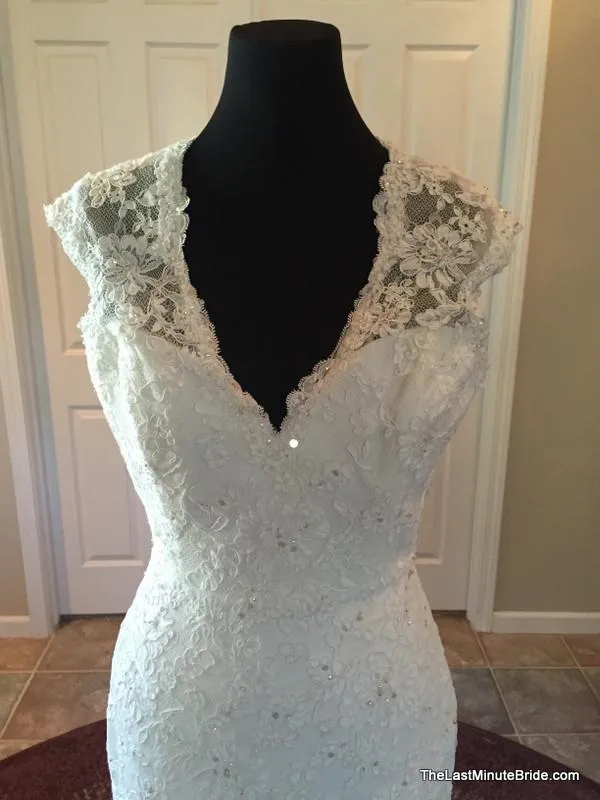 Sophia Tolli Y11310 Hazelle