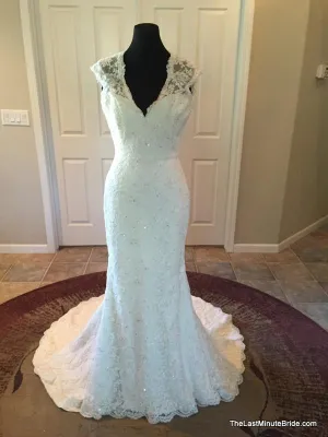 Sophia Tolli Y11310 Hazelle