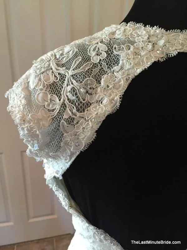 Sophia Tolli Y11310 Hazelle