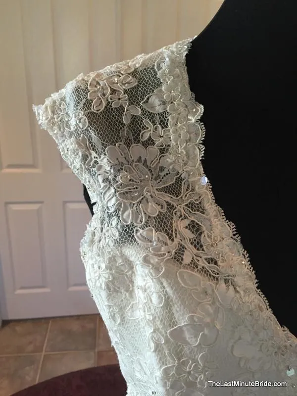 Sophia Tolli Y11310 Hazelle
