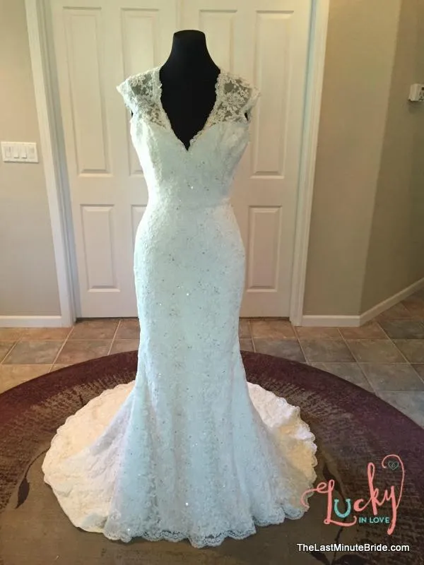 Sophia Tolli Y11310 Hazelle