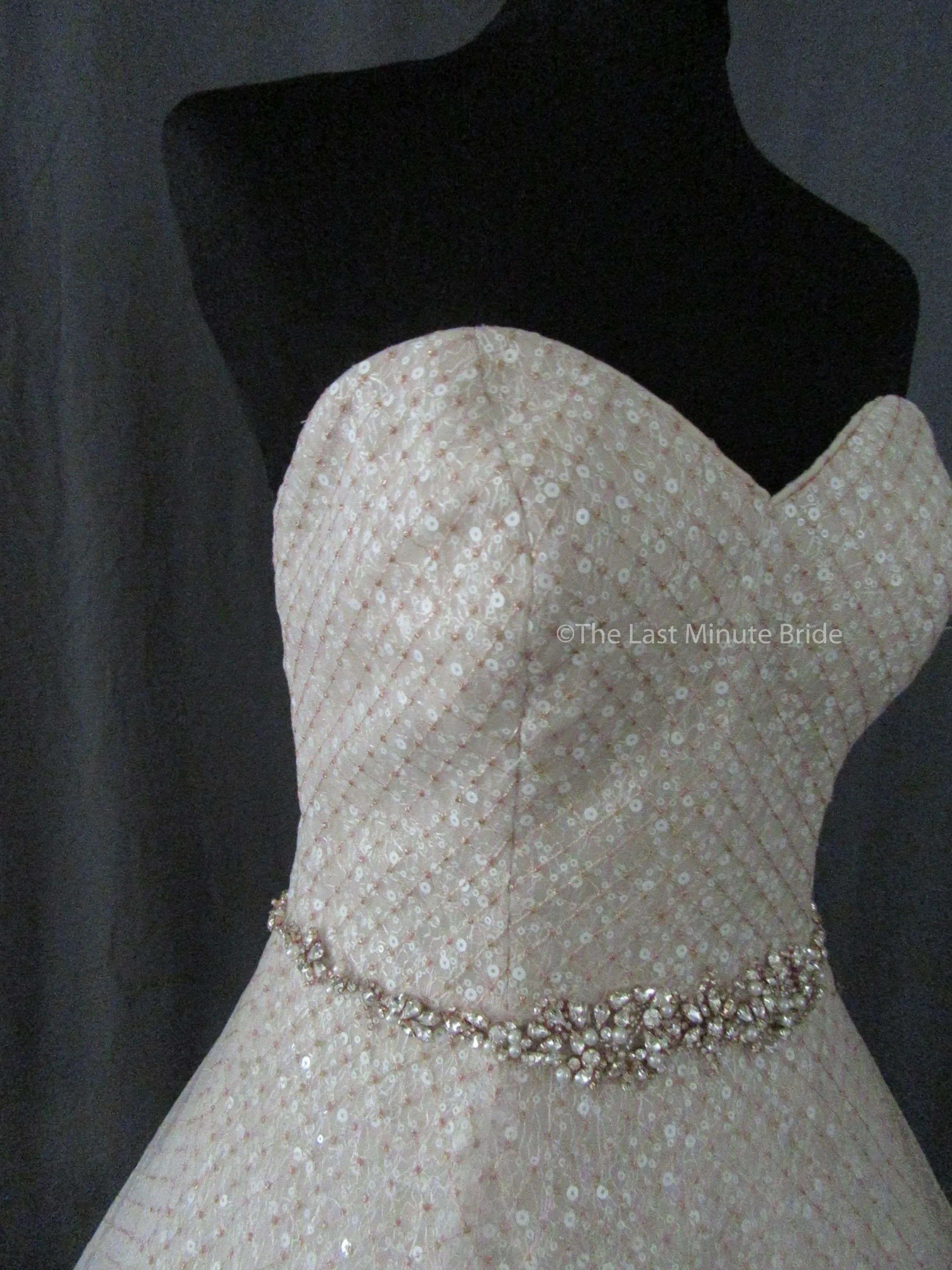 Sottero & Midgley Style Magdalyn 8SC721